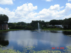 Beautiful Condo Close to Busch Gardens, Tampa